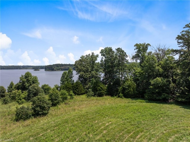 00 Rolis Rd, Randleman, NC 27317
