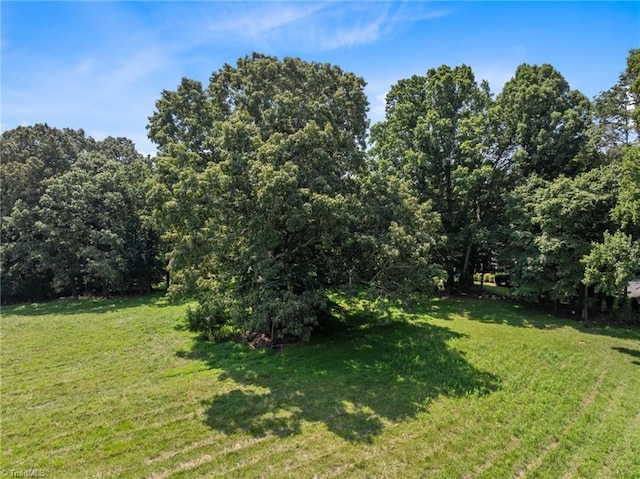 00 Rolis Rd, Randleman, NC 27317