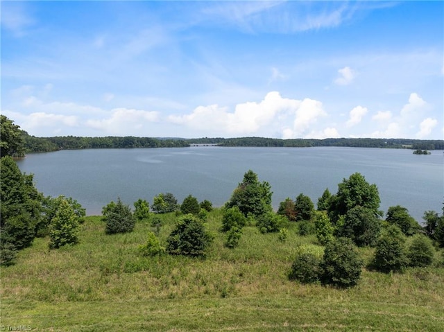 00 Rolis Rd, Randleman, NC 27317