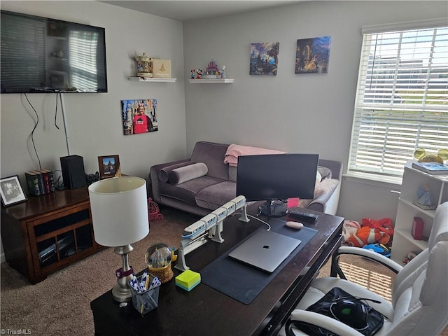 carpeted home office with a wealth of natural light