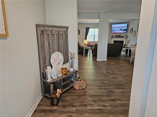 hall with dark hardwood / wood-style flooring