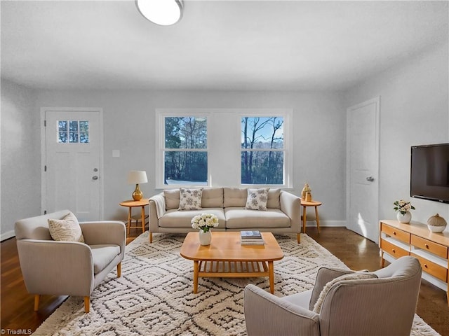 living room featuring wood-type flooring