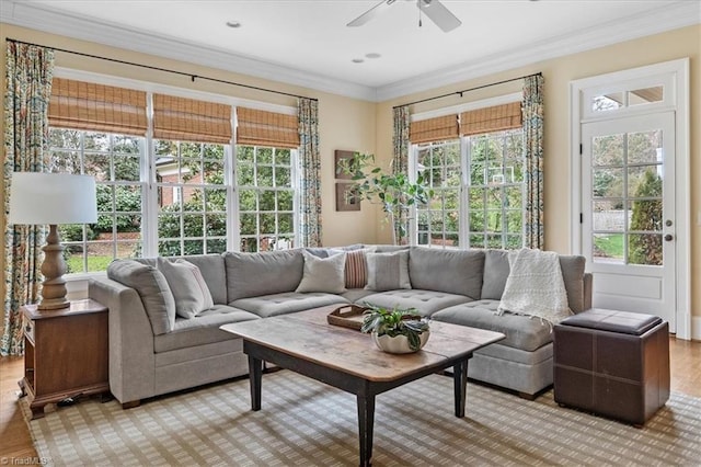 living room with ceiling fan, light wood-style floors, and ornamental molding