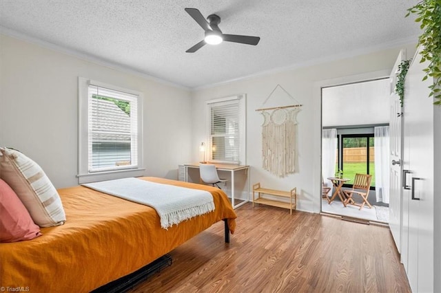 209 Burtner St, Greensboro, NC 27406 - bedroom featuring a textured ceiling, ornamental molding, access to exterior, wood finished floors, and a ceiling fan