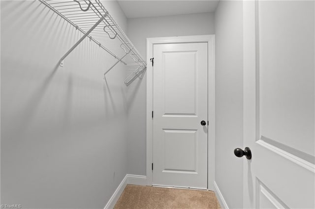 6823 Magnolia Park Ct, Clemmons, NC 27012 - spacious closet with carpet floors