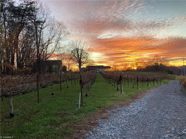 yard at dusk with a rural view