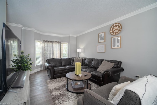 living room featuring ornamental molding and dark hardwood / wood-style flooring