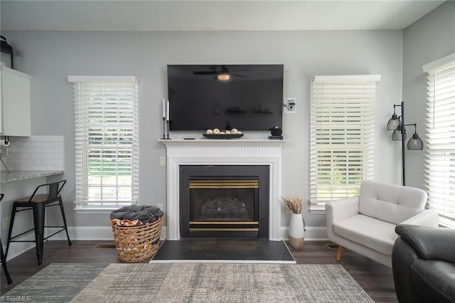 living room with dark hardwood / wood-style floors and a wealth of natural light