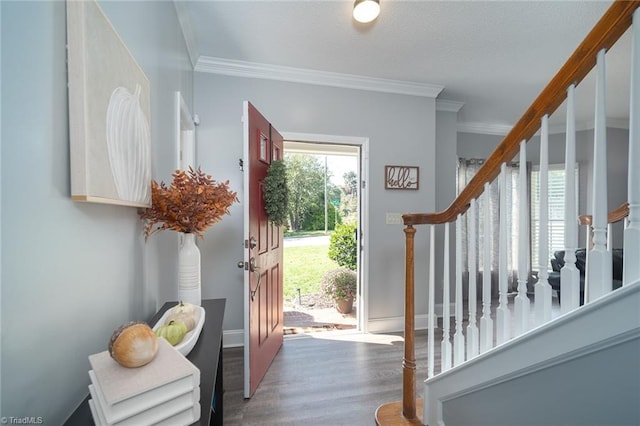 foyer with crown molding and dark hardwood / wood-style flooring