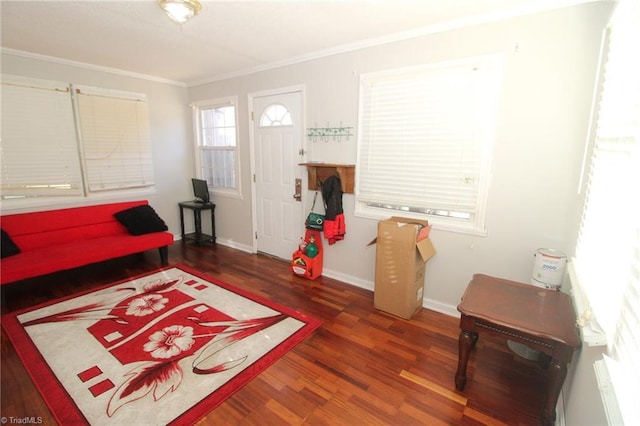 interior space featuring dark hardwood / wood-style flooring and crown molding