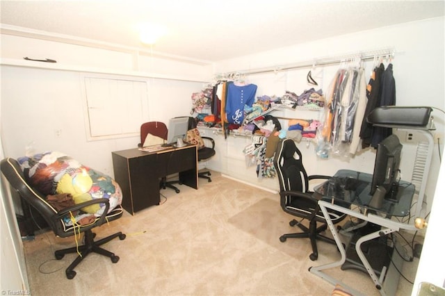 office area featuring light colored carpet