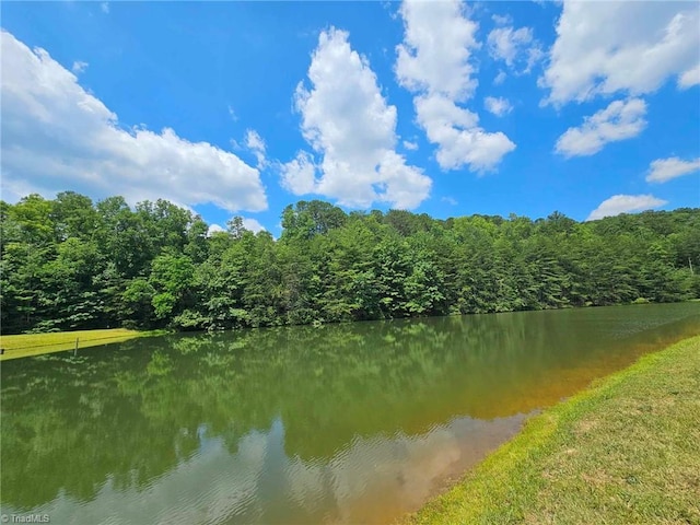 Listing photo 3 for LOT20TBD Jonathan Dr, Lowgap NC 27024