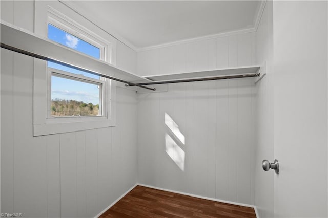 walk in closet with dark wood-style floors