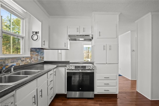 kitchen featuring dark countertops, under cabinet range hood, stainless steel electric range, and a sink