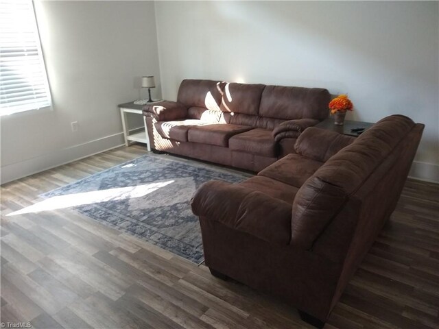 living room with wood-type flooring