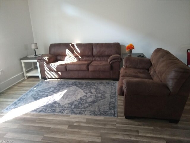 living room featuring wood-type flooring