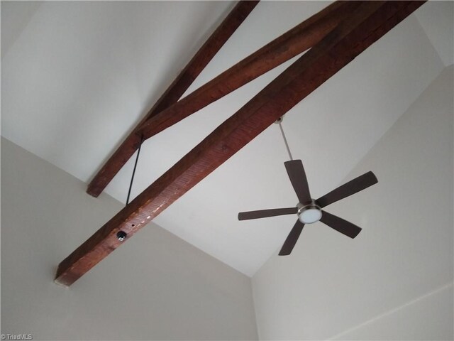 room details with beam ceiling