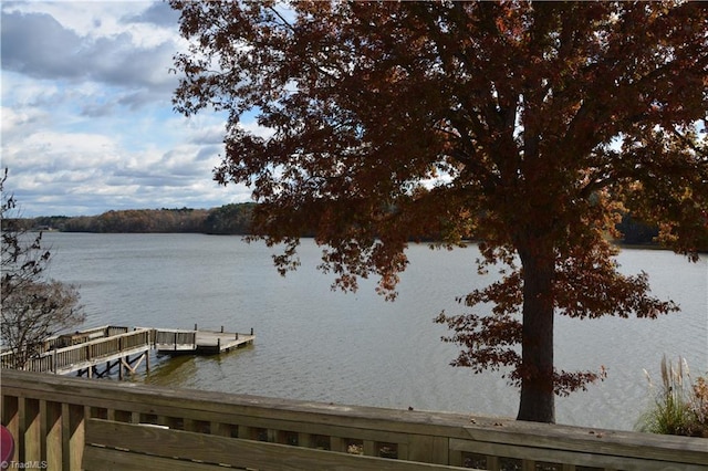 dock area with a water view