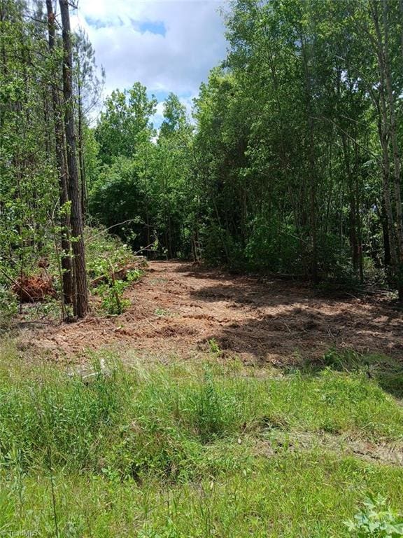 Listing photo 3 for LOT2AMANNINGPOWELL Old Macon Hwy, Macon NC 27551