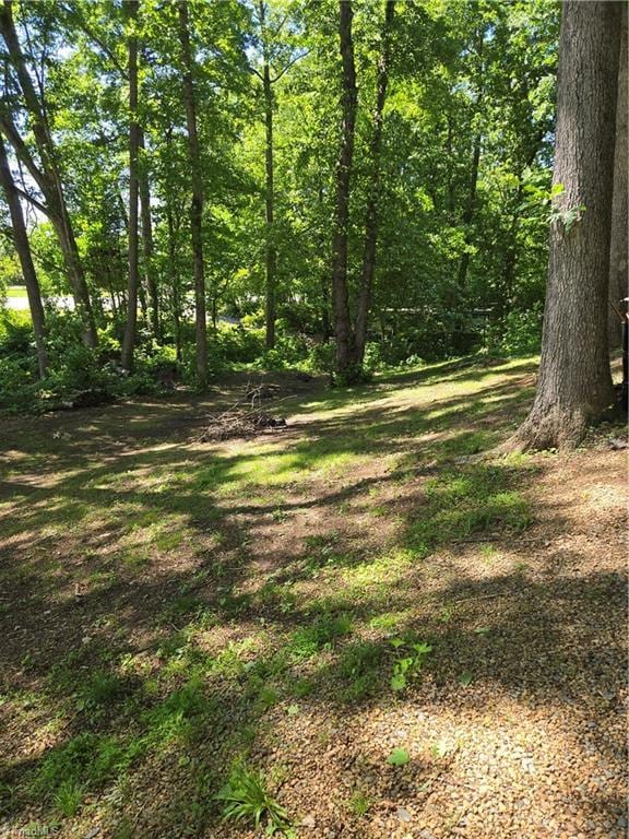 866 Trinity Church Rd, Tobaccoville, NC 27050 - view of yard featuring a view of trees