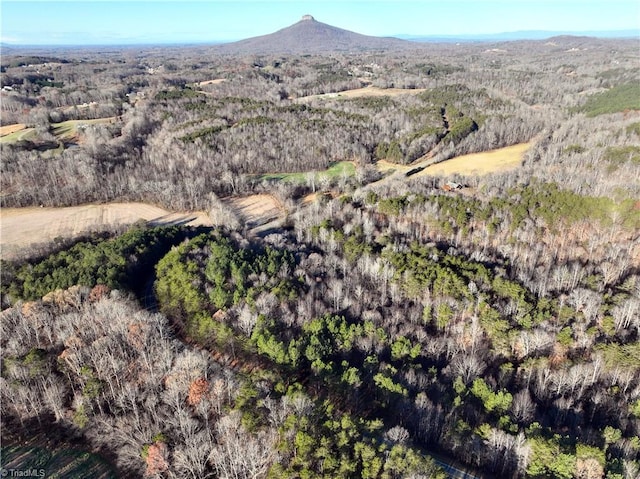 LOT4-0 Bowen Rd, Pinnacle NC, 27043 land for sale