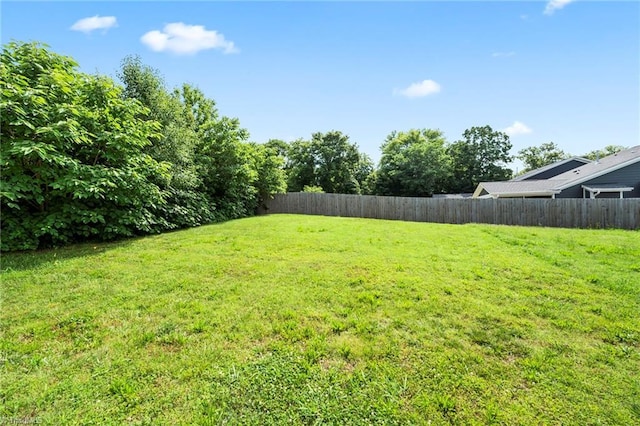 2109 Freeman St, Winston-Salem, NC 27127 - view of yard