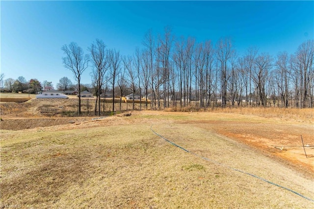 view of yard featuring a rural view