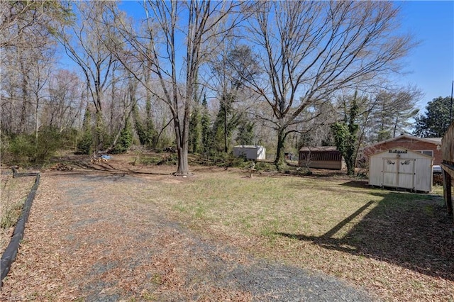 view of yard featuring a storage shed and an outdoor structure