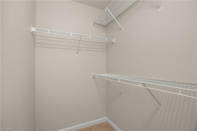 walk in closet with carpet flooring