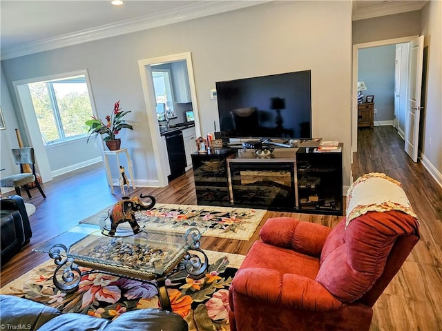 living room with ornamental molding, hardwood / wood-style floors, and sink