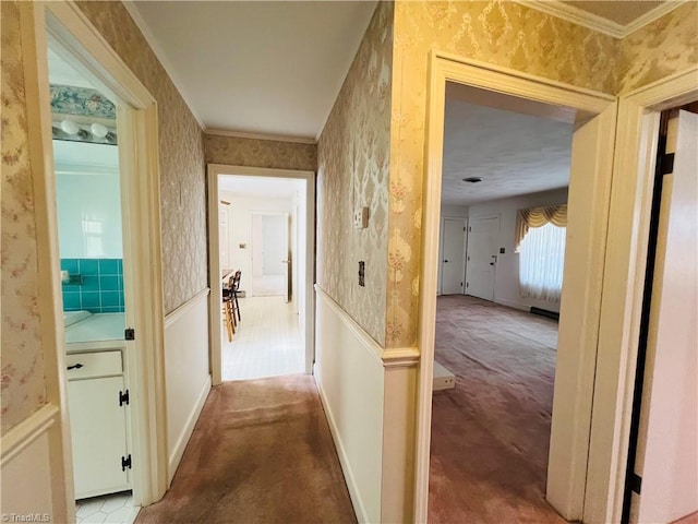 corridor with crown molding and carpet floors