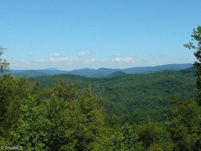 Listing photo 2 for LOT17 Chestnut Falls Dr, Millers Creek NC 28651