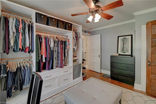spacious closet with ceiling fan and light wood finished floors