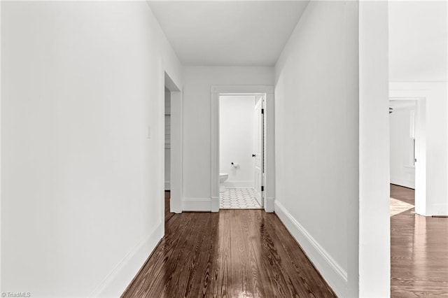 hallway featuring hardwood / wood-style floors