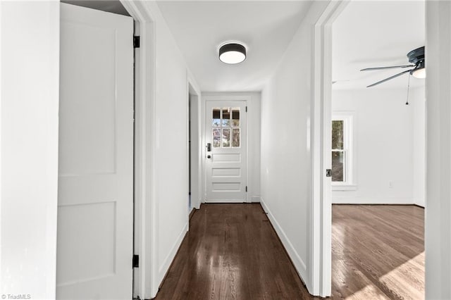 corridor featuring a healthy amount of sunlight and hardwood / wood-style flooring