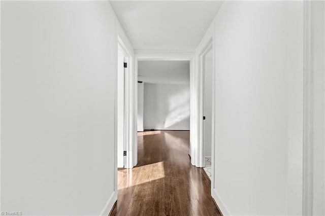 corridor with dark hardwood / wood-style floors