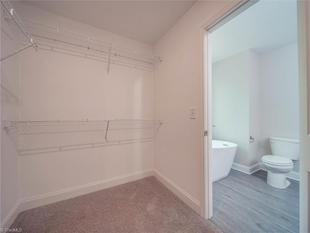 spacious closet with dark colored carpet