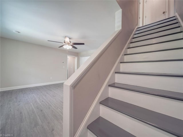 staircase featuring ceiling fan and hardwood / wood-style flooring