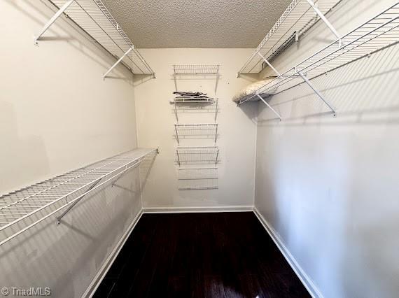 walk in closet featuring wood finished floors