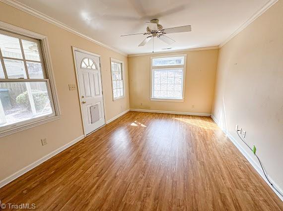 entryway with ornamental molding, a healthy amount of sunlight, and light wood-style floors