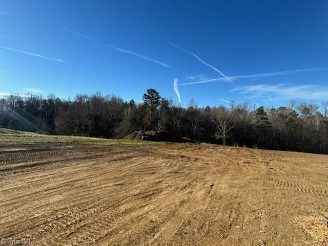 373 Lissara Lodge Dr, Lewisville, NC 27023