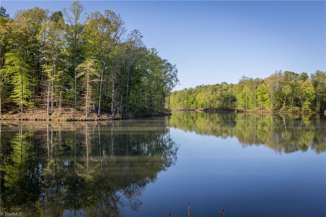 373 Lissara Lodge Dr, Lewisville, NC 27023