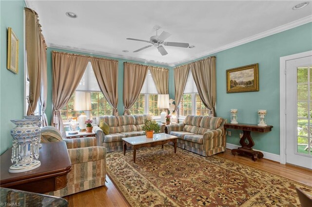 living room featuring ceiling fan, hardwood / wood-style flooring, and ornamental molding