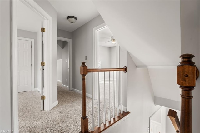 stairs featuring carpet and ceiling fan