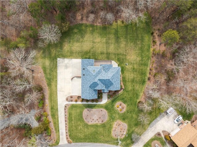 bird's eye view
