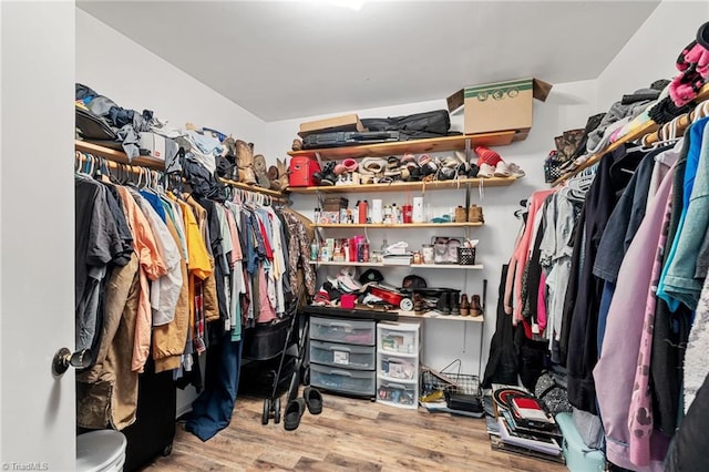 267 Pine Ridge Trl, Pinnacle, NC 27043 - walk in closet with wood finished floors