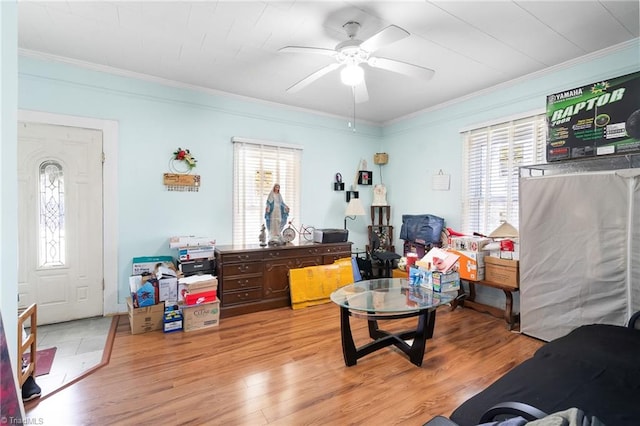 interior space featuring crown molding, light wood-style flooring, and a wealth of natural light