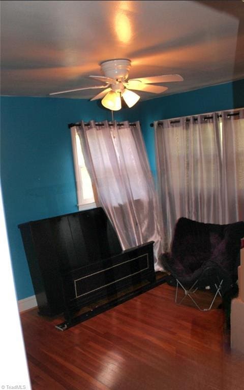 interior space featuring hardwood / wood-style floors and ceiling fan