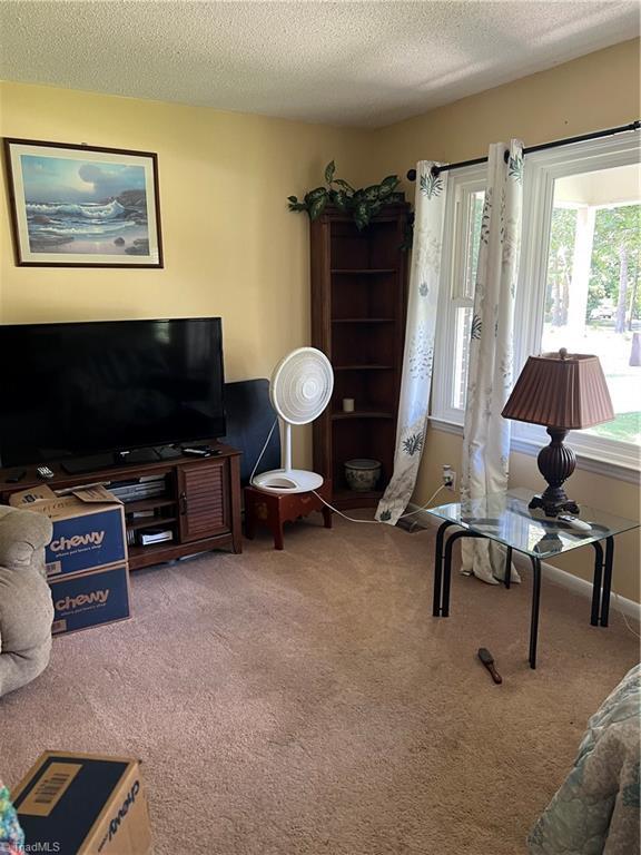 living room with a textured ceiling, carpet, and baseboards