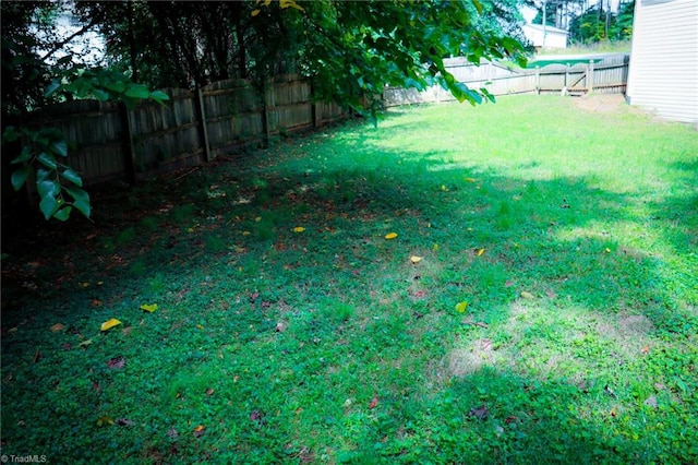 view of yard with a fenced backyard